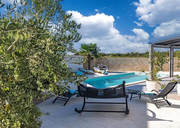 Mirakul שיבניק